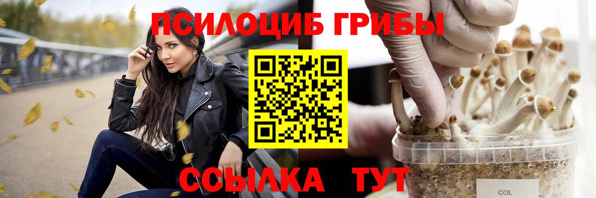 Псилоцибиновые грибы Psilocybine cubensis Красный Сулин